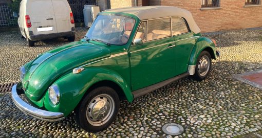 WhatsApp Image 2026-02-18 at 16.37.59 (2)