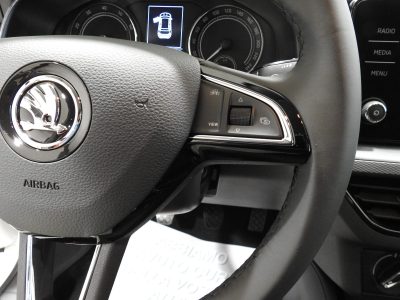 SKODA KAMIQ 1.0 TSI 95 CV SELECTION MY’ 26 15