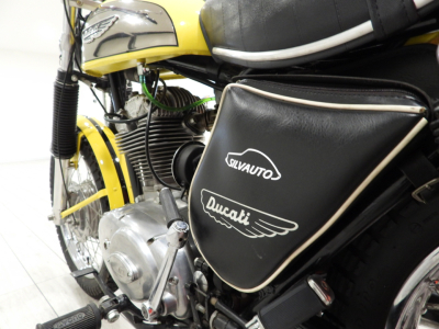 DUCATI SCRAMBLER 250 (1973) 14