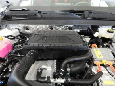 JAECOO J7 SUPER HYBRID 1.5 TGDI PLUG-IN EXCLUSIVE 2WD 29