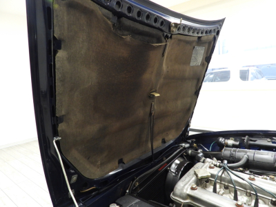 ALFA ROMEO ALFETTA TIPO 116.08 1^ SERIE SCUDO STRETTO (1974) 36