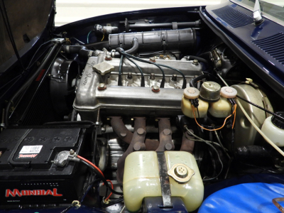 ALFA ROMEO ALFETTA TIPO 116.08 1^ SERIE SCUDO STRETTO (1974) 37