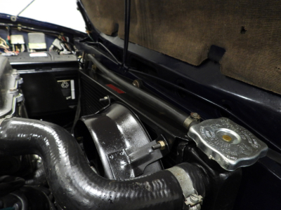 ALFA ROMEO ALFETTA TIPO 116.08 1^ SERIE SCUDO STRETTO (1974) 41