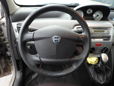LANCIA YPSILON 1.4 8V ORO ECOCHIC GPL 69CV (2010) 13