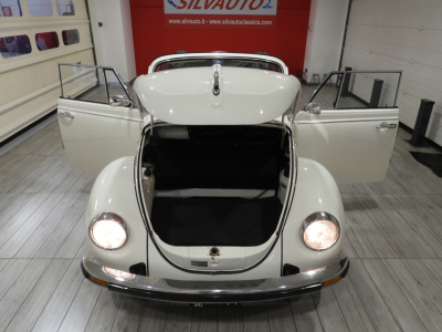 VOLKSWAGEN MAGGIOLONE CABRIOLET 1303 15D11 (1979) 43