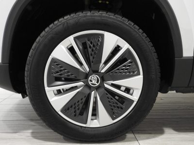 SKODA KAROQ 2.0 TDI 115 CV SELECTION MY’ 26 8
