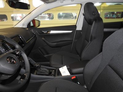 SKODA KAROQ 1.0 TSI 110 CV SELECTION MY’ 26 13
