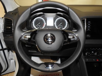 SKODA KAROQ 1.0 TSI 110 CV SELECTION MY’ 26 15