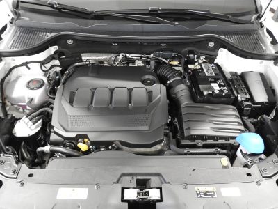 SKODA KAROQ 2.0 TDI 115 CV SELECTION MY’ 26 28