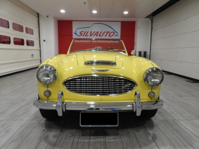 AUSTIN HEALEY 3000 BN7 MKI 4 MARCE + OVERDRIVE (1960) 1