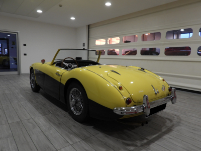 AUSTIN HEALEY 3000 BN7 MKI 4 MARCE + OVERDRIVE (1960) 3