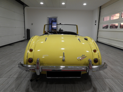 AUSTIN HEALEY 3000 BN7 MKI 4 MARCE + OVERDRIVE (1960) 4