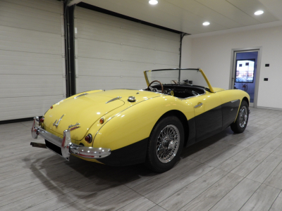 AUSTIN HEALEY 3000 BN7 MKI 4 MARCE + OVERDRIVE (1960) 5