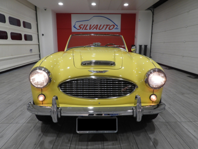 AUSTIN HEALEY 3000 BN7 MKI 4 MARCE + OVERDRIVE (1960) 42