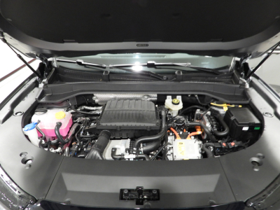 JAECOO JAECOO 8 SHS-P 1.5 TGDI PLUG-IN HYBRID EXCLUSIVE AWD 3DHT MY26 28