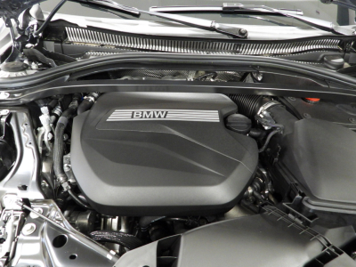 BMW NUOVA SERIE 1 (F70) 116I  M-SPORT DCT 122CV MY’ 26 29